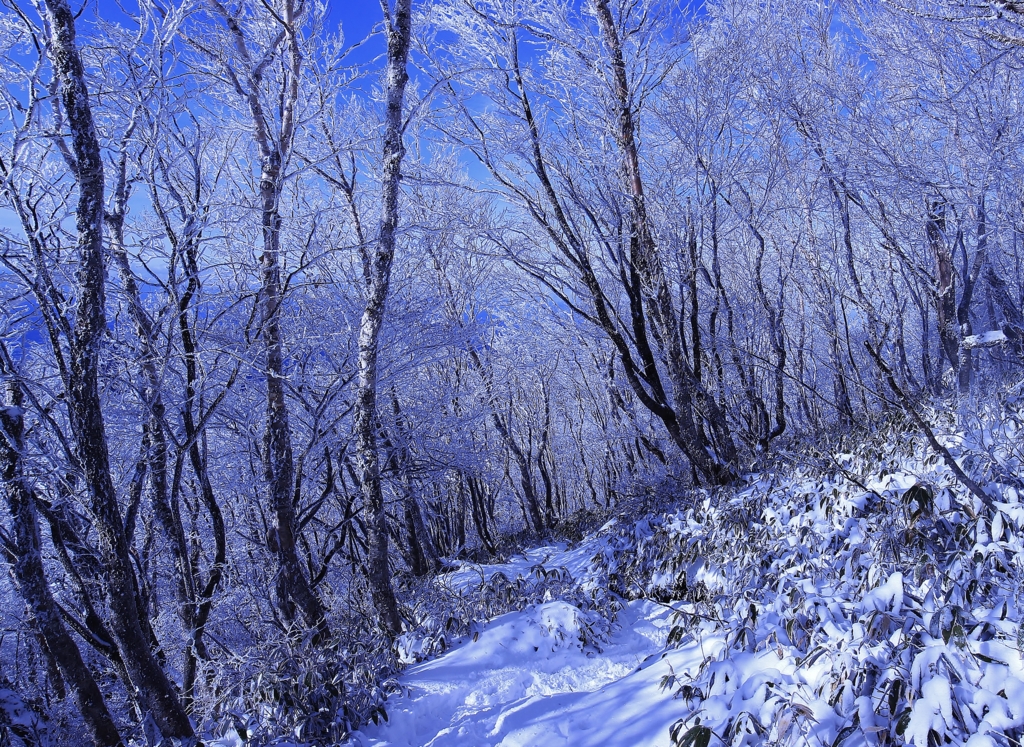 f:id:JKazy:20170107002857j:plain f:id:JKazy:20170107002857j:plain