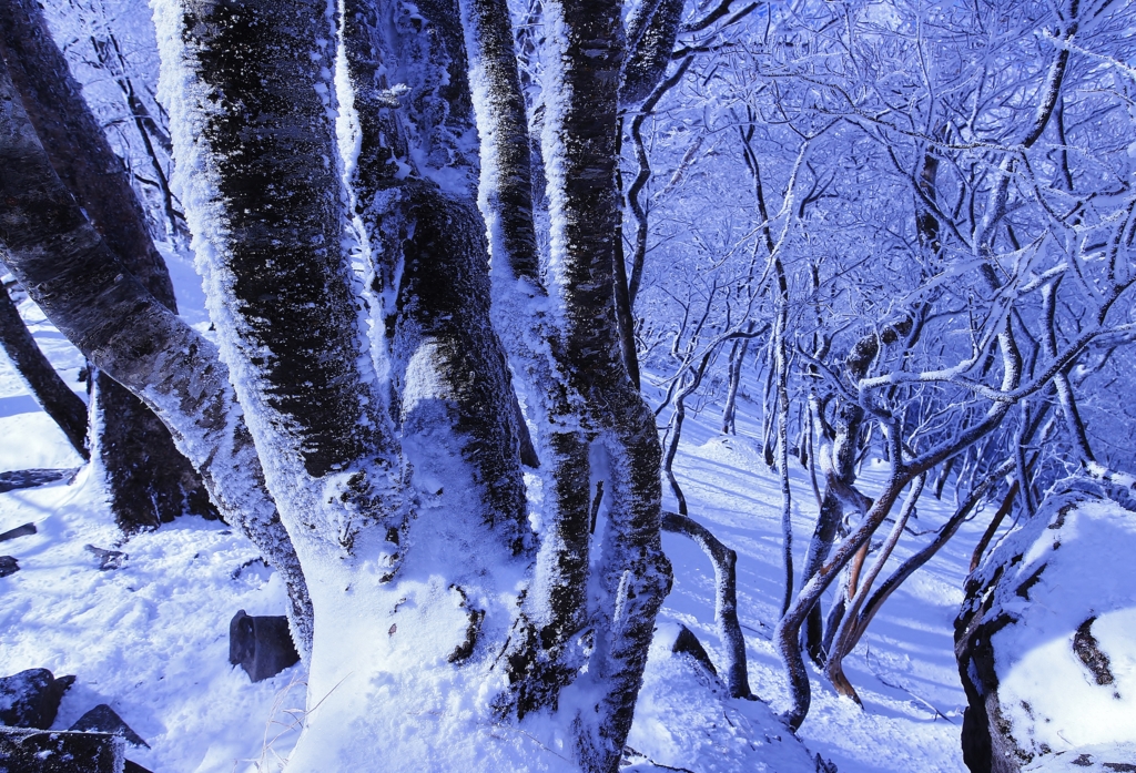 f:id:JKazy:20170107003238j:plain f:id:JKazy:20170107003238j:plain