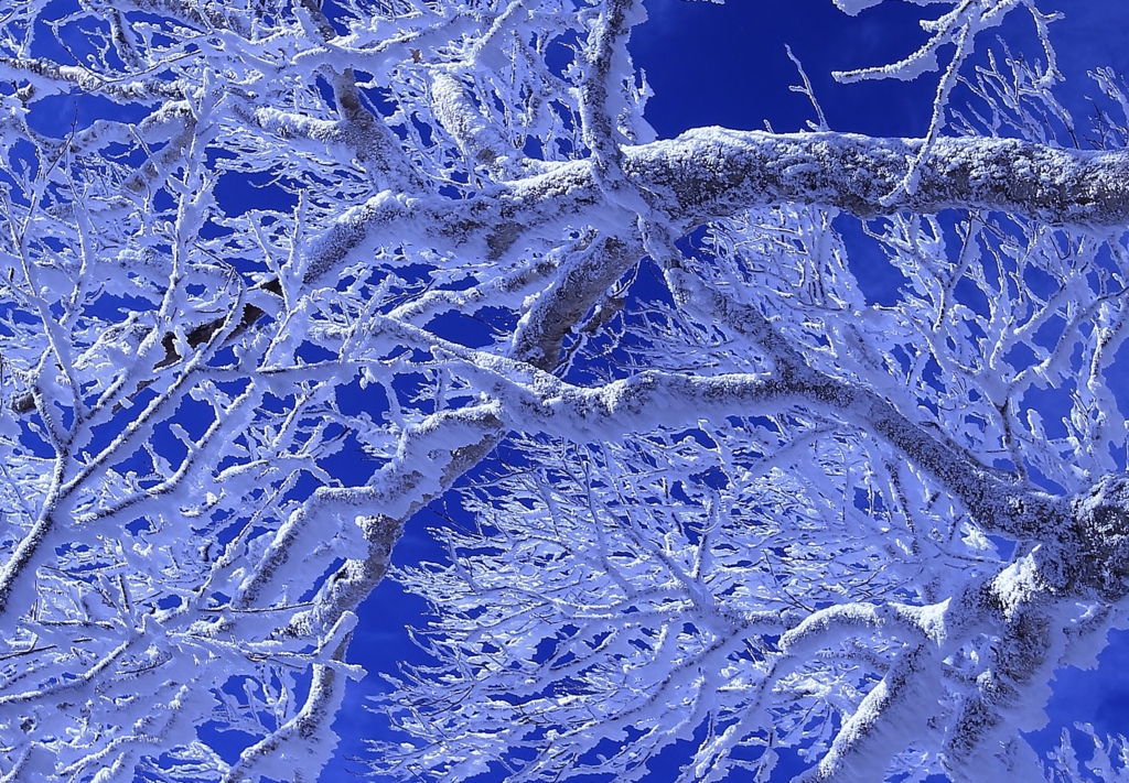 f:id:JKazy:20170107003648j:plain f:id:JKazy:20170107003648j:plain