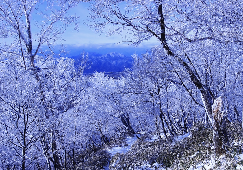 f:id:JKazy:20170107003906j:plain f:id:JKazy:20170107003906j:plain