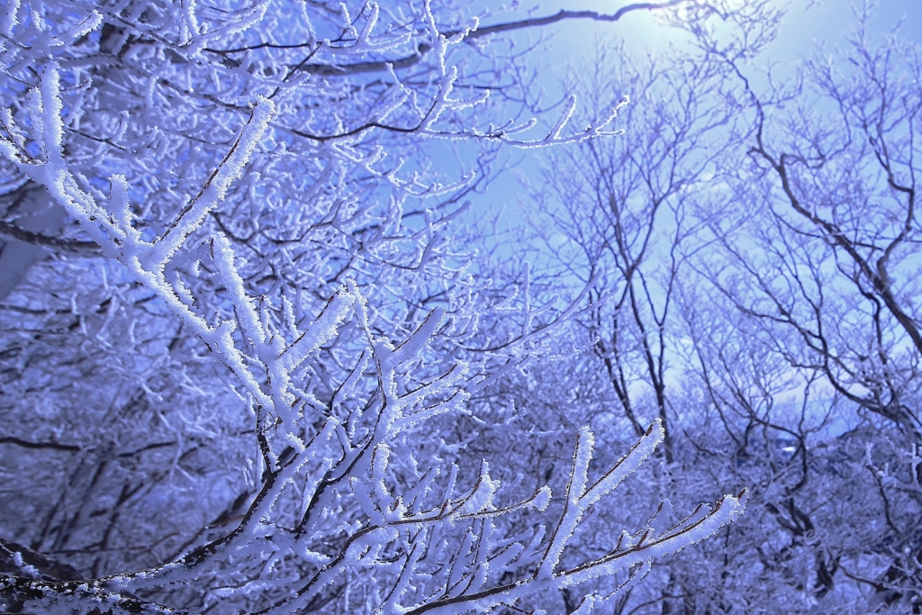 f:id:JKazy:20170107004207j:plain f:id:JKazy:20170107004207j:plain