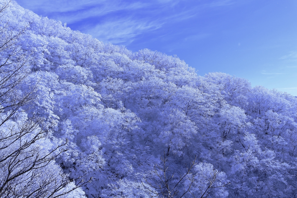 f:id:JKazy:20170107005541j:plain f:id:JKazy:20170107005541j:plain