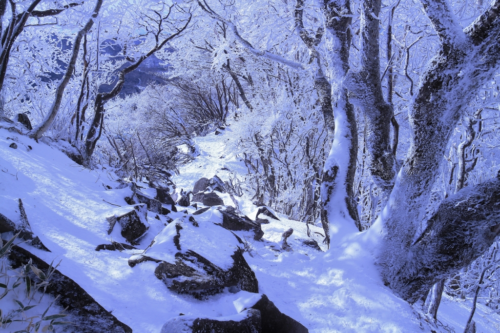 f:id:JKazy:20170107005829j:plain f:id:JKazy:20170107005829j:plain