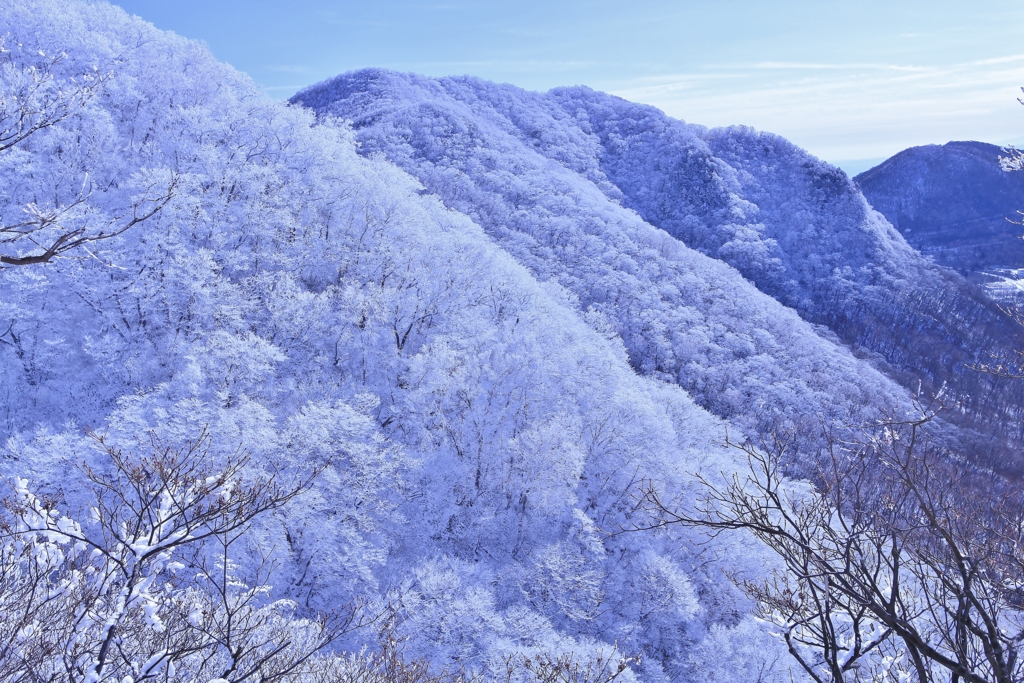 f:id:JKazy:20170107010048j:plain f:id:JKazy:20170107010048j:plain