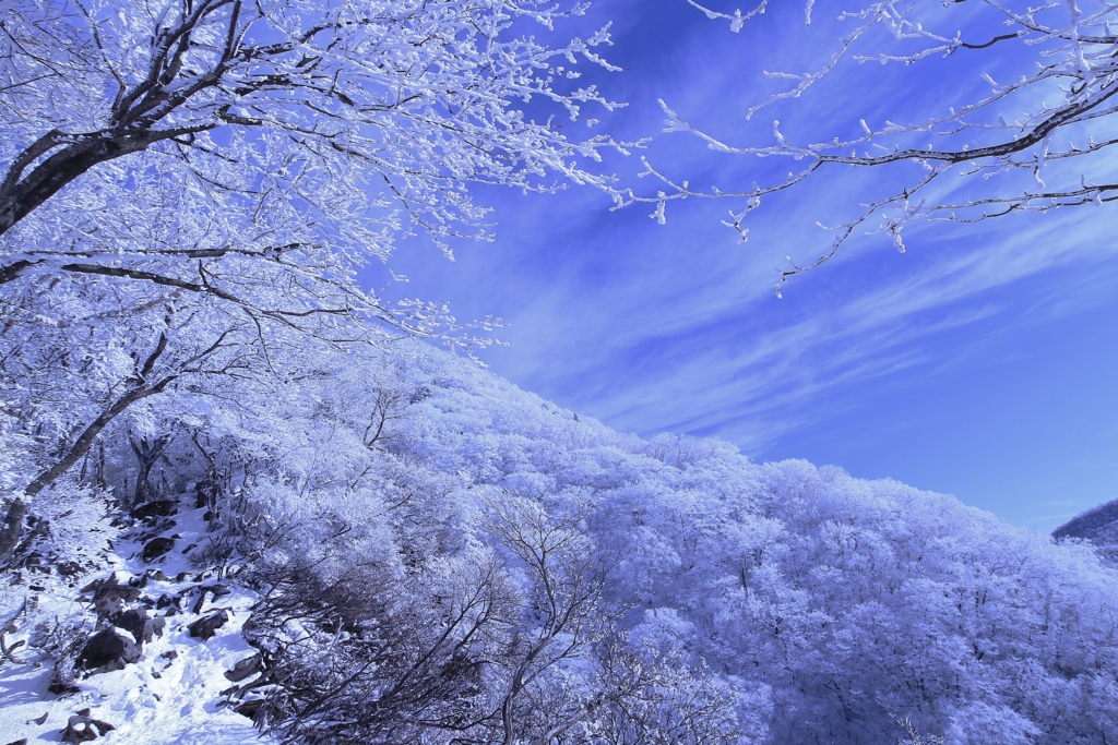 f:id:JKazy:20170107010224j:plain f:id:JKazy:20170107010224j:plain