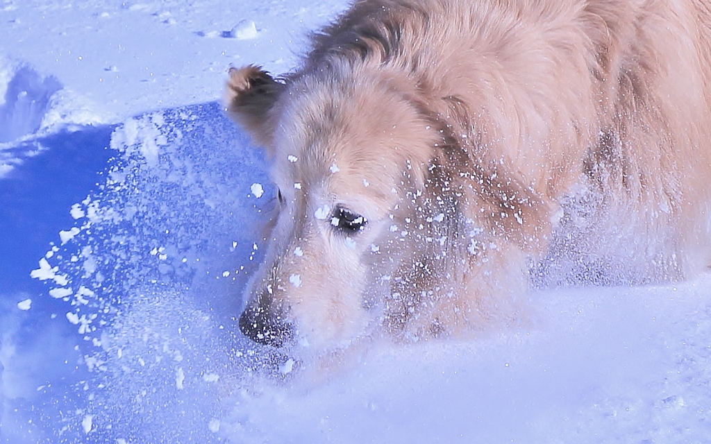 f:id:JKazy:20170122152410j:plain f:id:JKazy:20170122152410j:plain