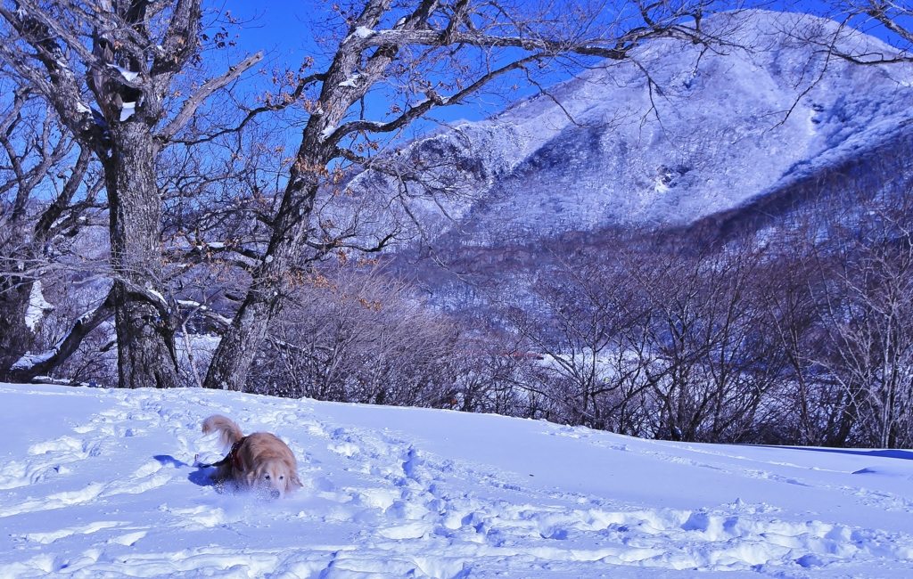 f:id:JKazy:20170122152435j:plain f:id:JKazy:20170122152435j:plain