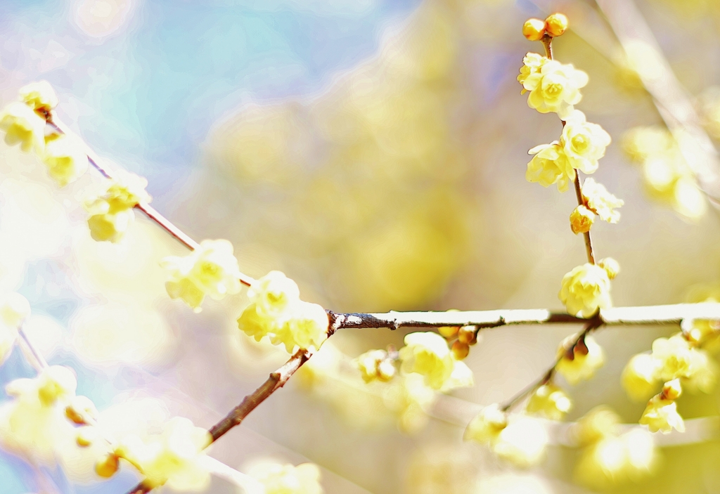 f:id:JKazy:20170201234040j:plain