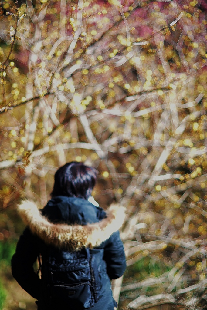 f:id:JKazy:20170201234218j:plain