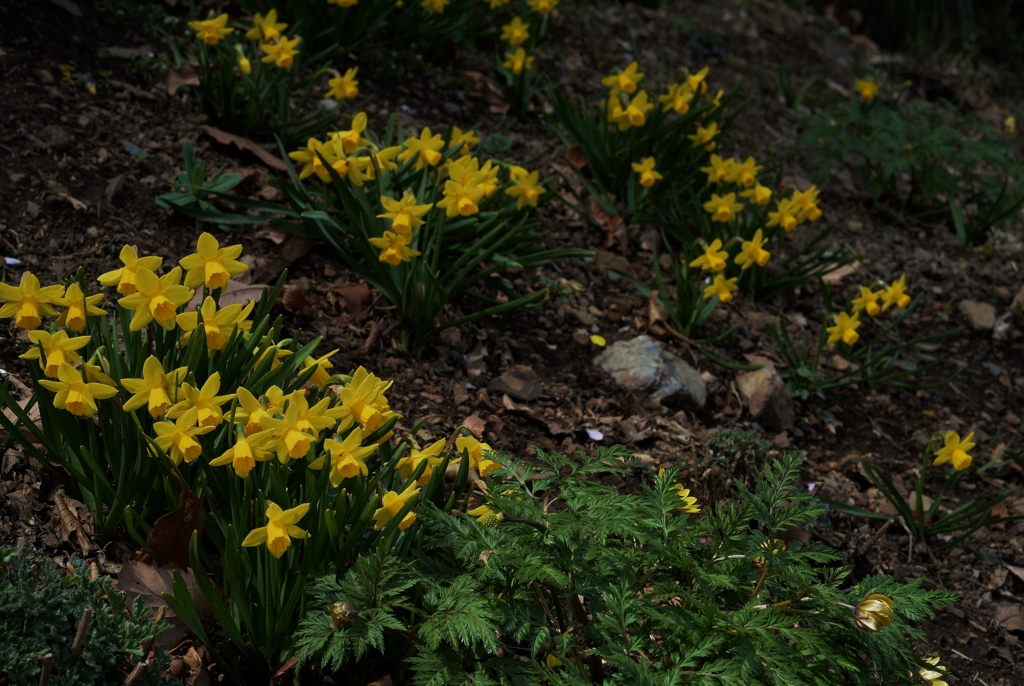 f:id:JKazy:20170329231016j:plain f:id:JKazy:20170329231016j:plain