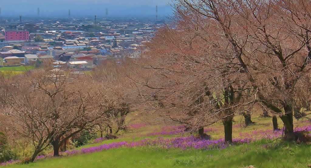 f:id:JKazy:20170329231543j:plain f:id:JKazy:20170329231543j:plain