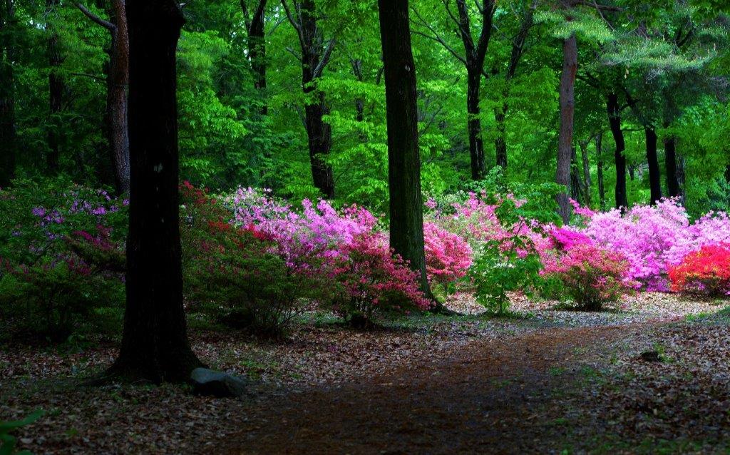 f:id:JKazy:20170518220234j:plain