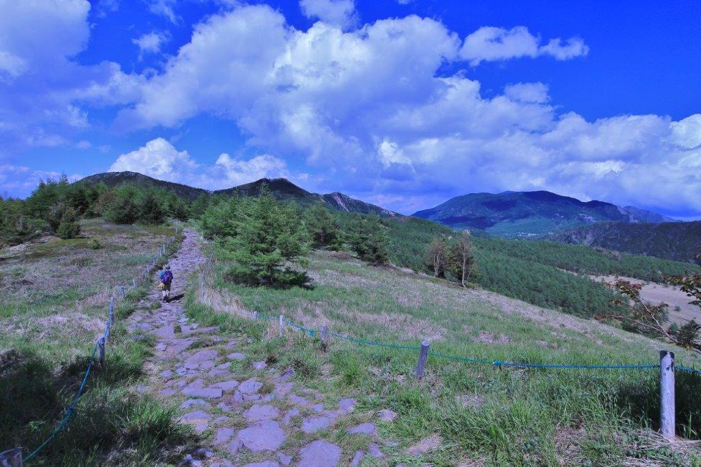 f:id:JKazy:20170615101533j:plain
