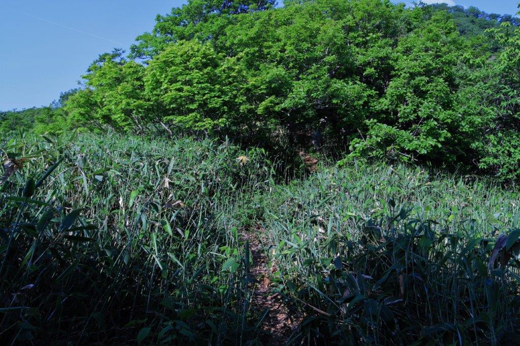 f:id:JKazy:20170624185812j:plain