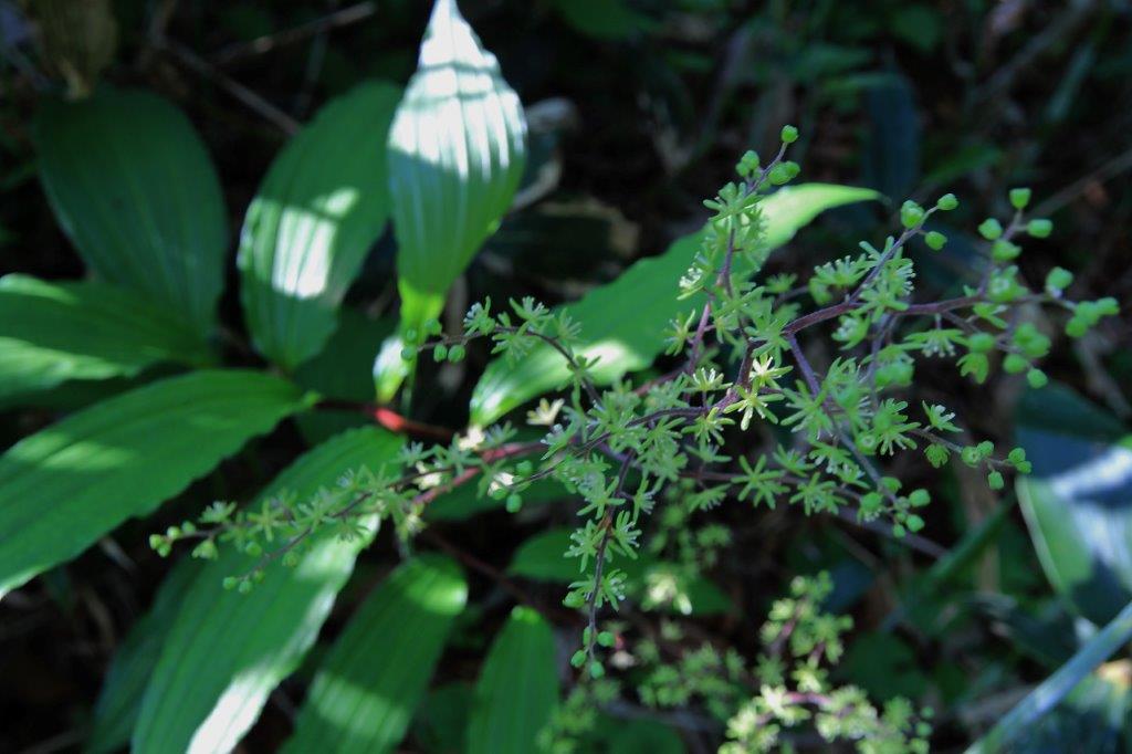 f:id:JKazy:20170624185842j:plain