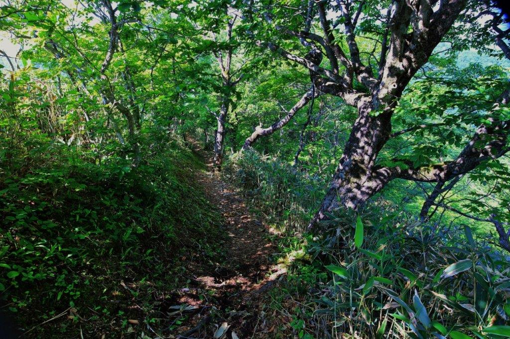 f:id:JKazy:20170624190246j:plain