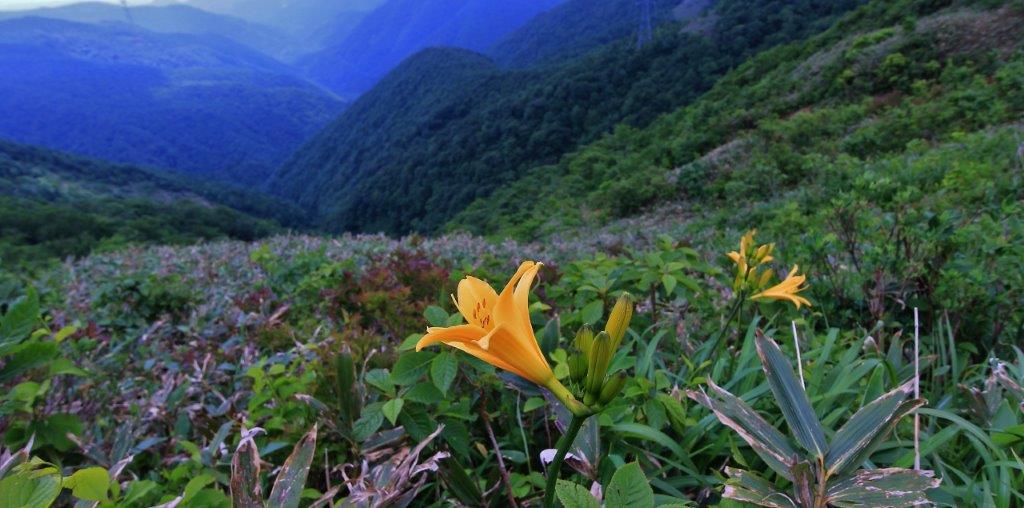 f:id:JKazy:20170624190729j:plain