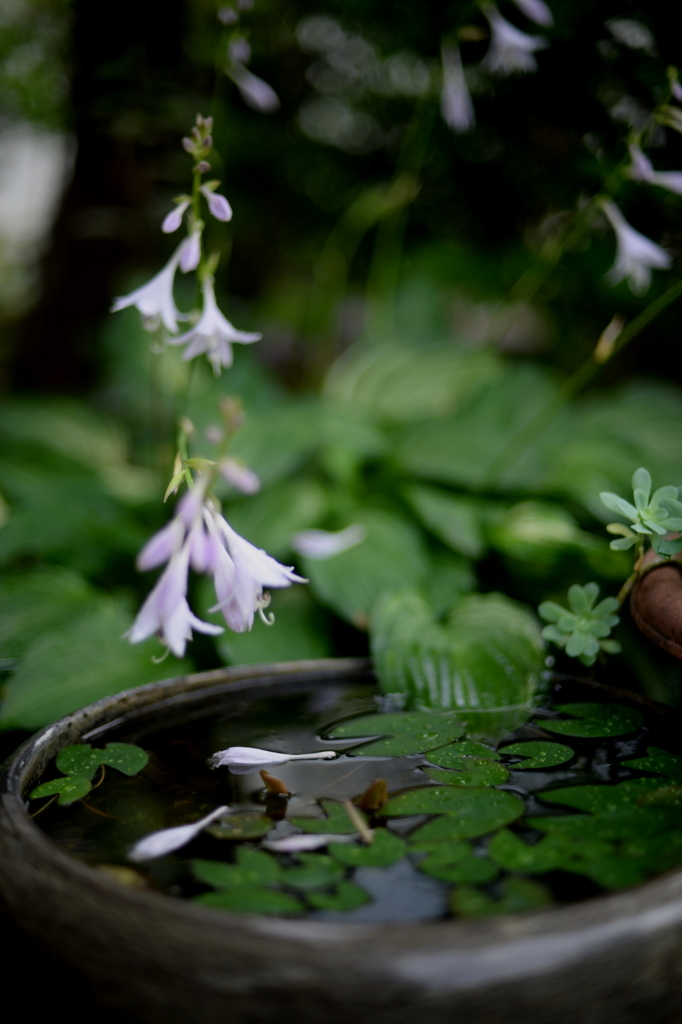 f:id:JKazy:20170703094352j:plain