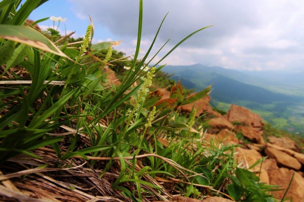 f:id:JKazy:20170708114117j:plain