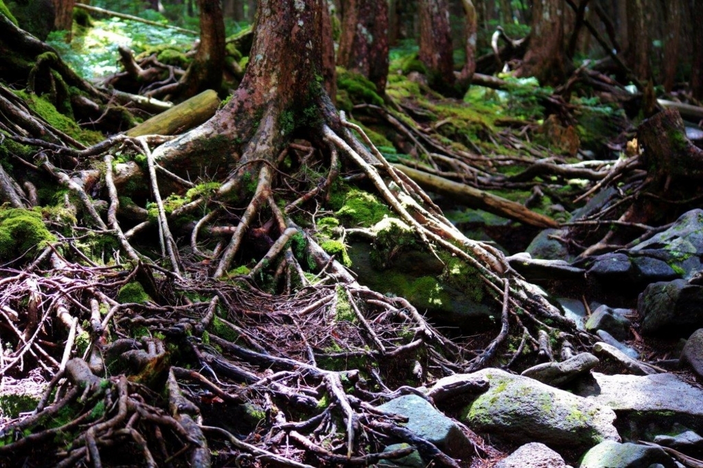 f:id:JKazy:20170714122918j:plain