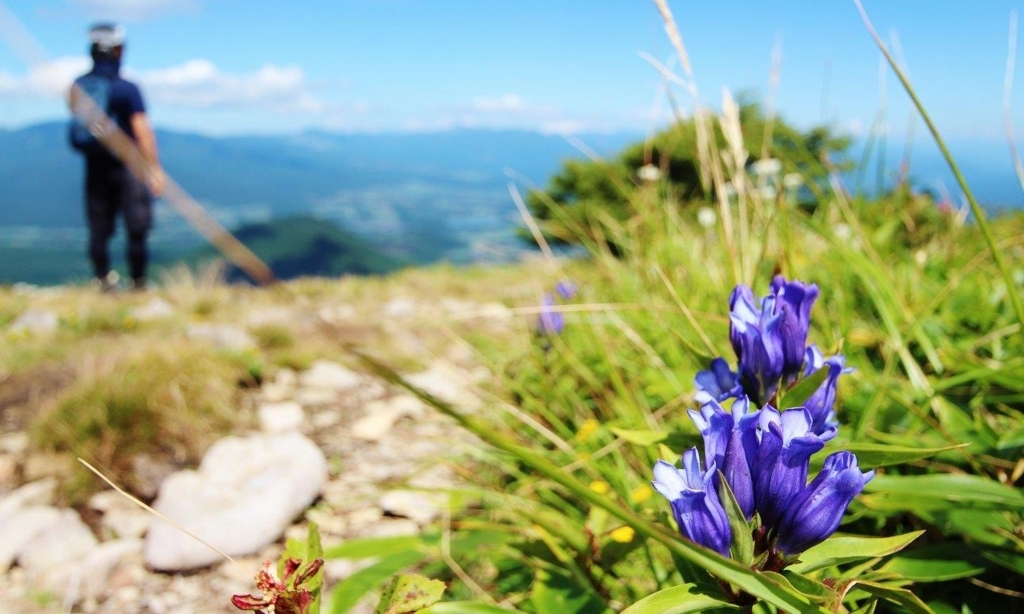 f:id:JKazy:20170909234533j:plain f:id:JKazy:20170909234533j:plain