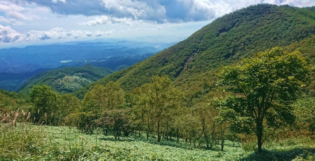 f:id:JKazy:20170913231302j:plain f:id:JKazy:20170913231302j:plain