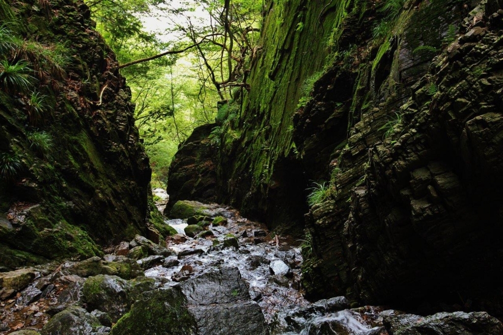 f:id:JKazy:20170920225051j:plain