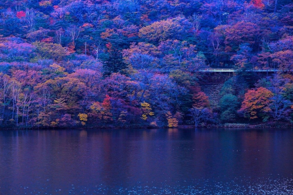 f:id:JKazy:20171018171700j:plain f:id:JKazy:20171018171700j:plain