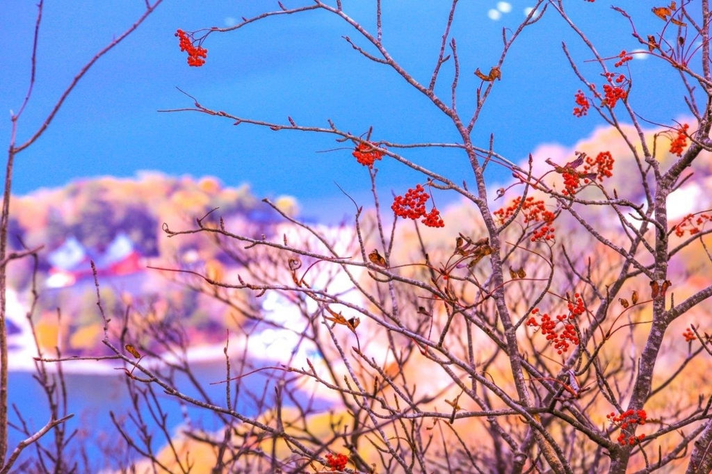 f:id:JKazy:20171018172006j:plain