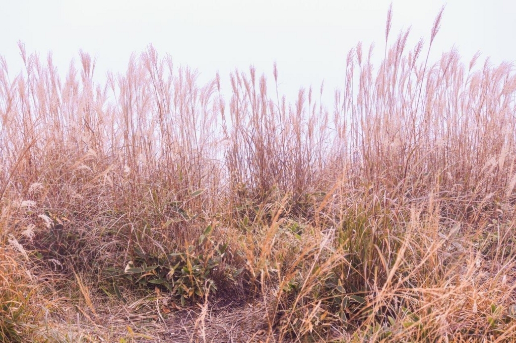 f:id:JKazy:20171018172022j:plain