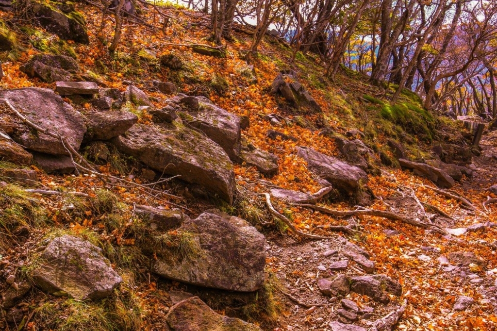 f:id:JKazy:20171018172105j:plain