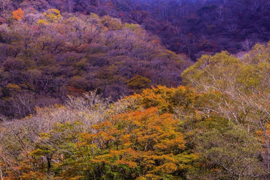 f:id:JKazy:20171018172145j:plain