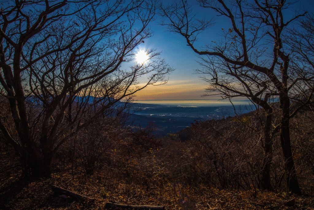 f:id:JKazy:20171117192122g:plain