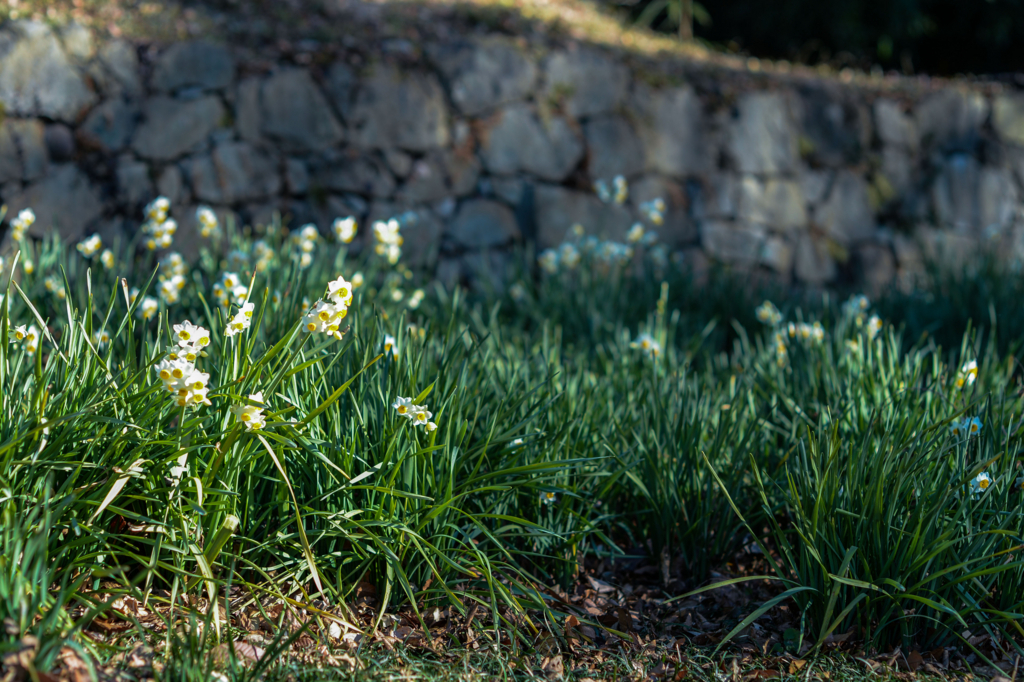 f:id:JKazy:20180110210340j:plain f:id:JKazy:20180110210340j:plain