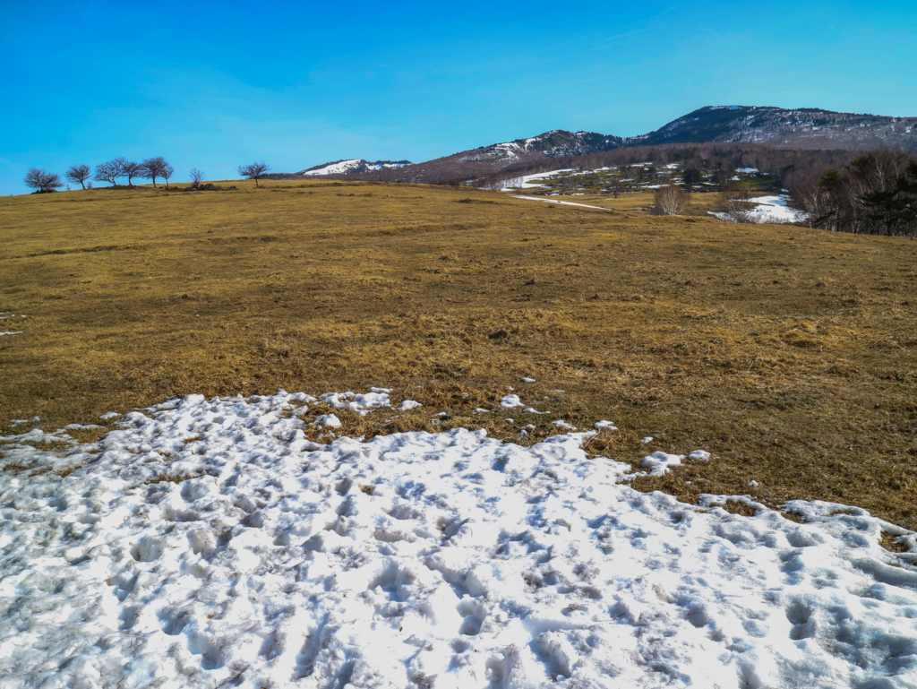 f:id:JKazy:20180329181116j:plain f:id:JKazy:20180329181116j:plain