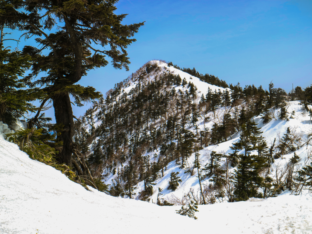 f:id:JKazy:20180329181146j:plain f:id:JKazy:20180329181146j:plain