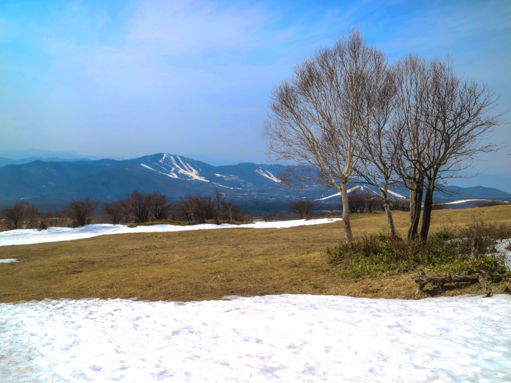 f:id:JKazy:20180329181420j:plain f:id:JKazy:20180329181420j:plain