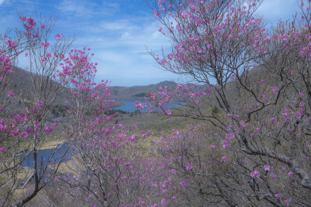 f:id:JKazy:20180506232816j:plain