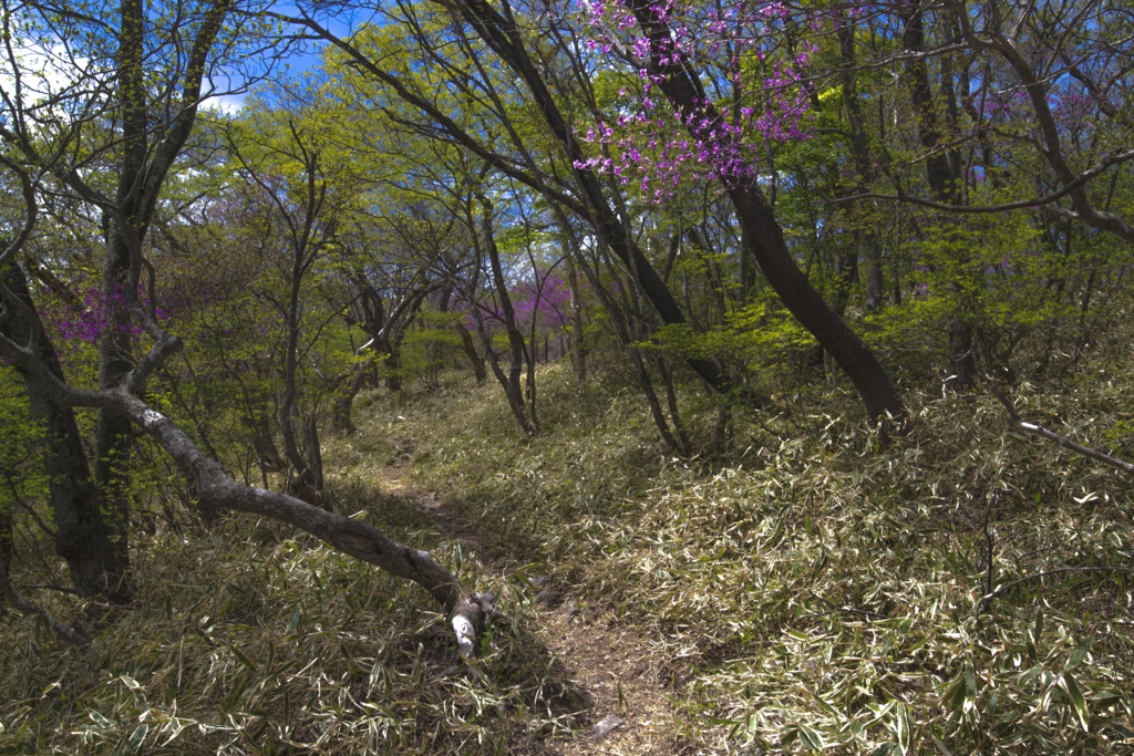 f:id:JKazy:20180513010745j:plain