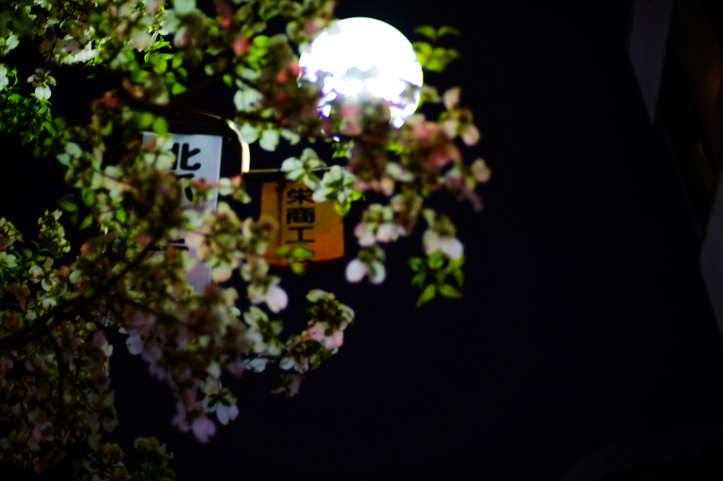 f:id:JKazy:20180515092813j:plain
