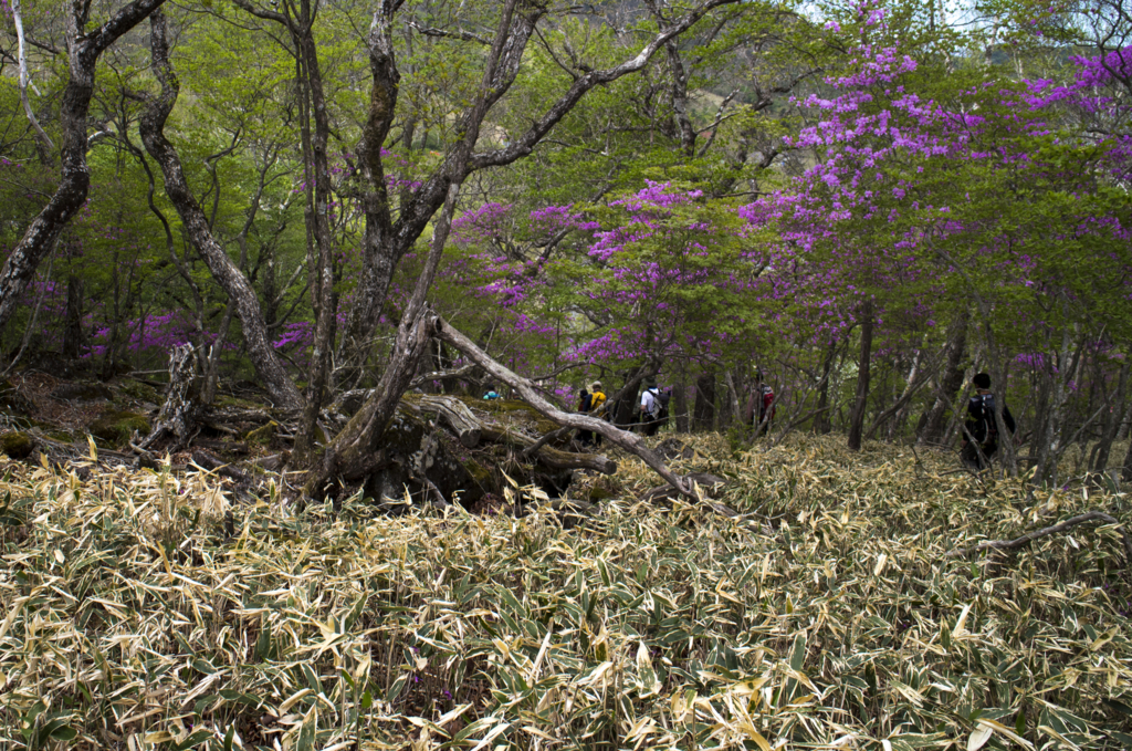 f:id:JKazy:20180520225620j:plain