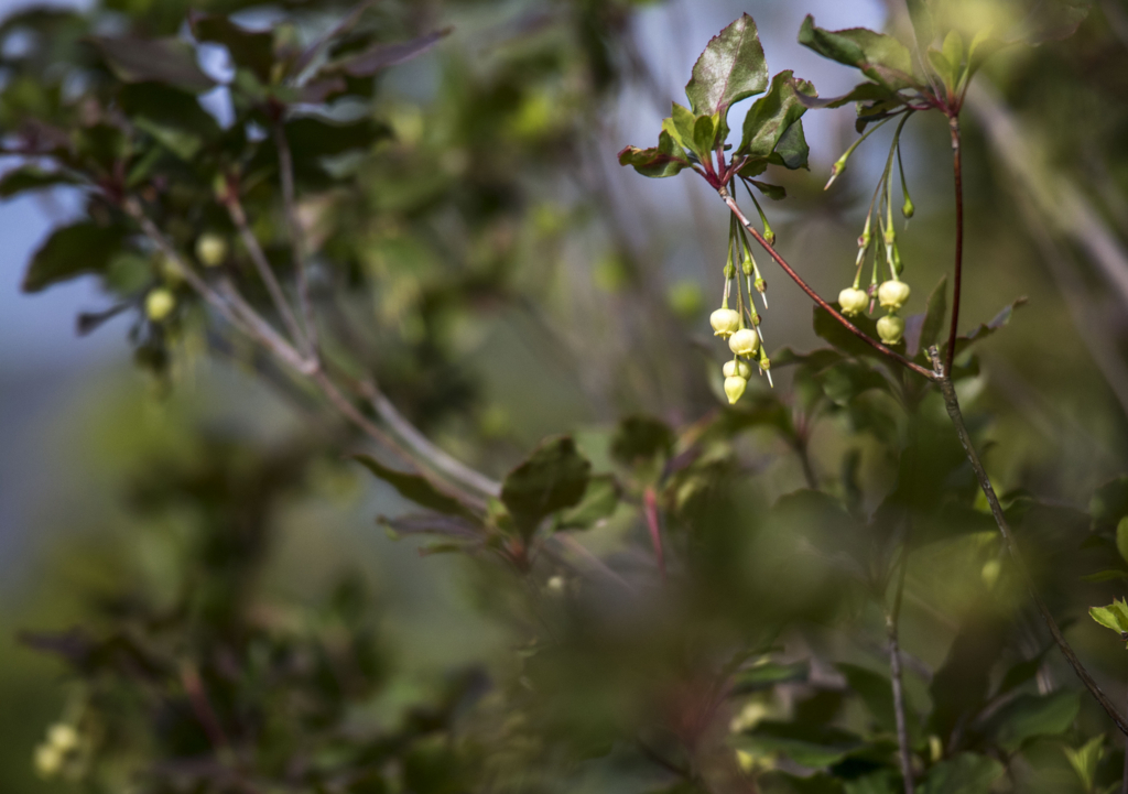 f:id:JKazy:20180624220204j:plain f:id:JKazy:20180624220204j:plain