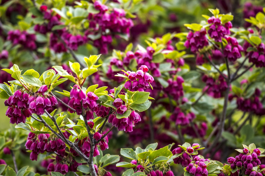 f:id:JKazy:20180624220417j:plain f:id:JKazy:20180624220417j:plain