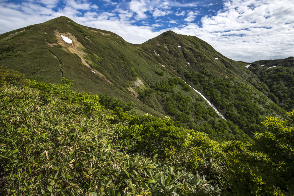 f:id:JKazy:20180624220532j:plain f:id:JKazy:20180624220532j:plain