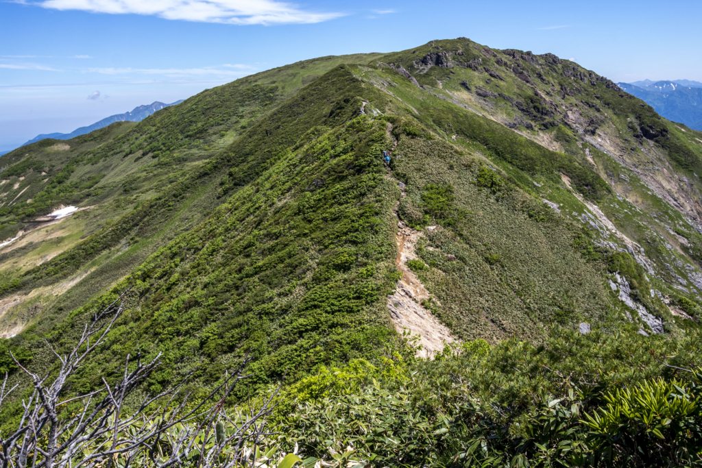 f:id:JKazy:20180624220853j:plain f:id:JKazy:20180624220853j:plain