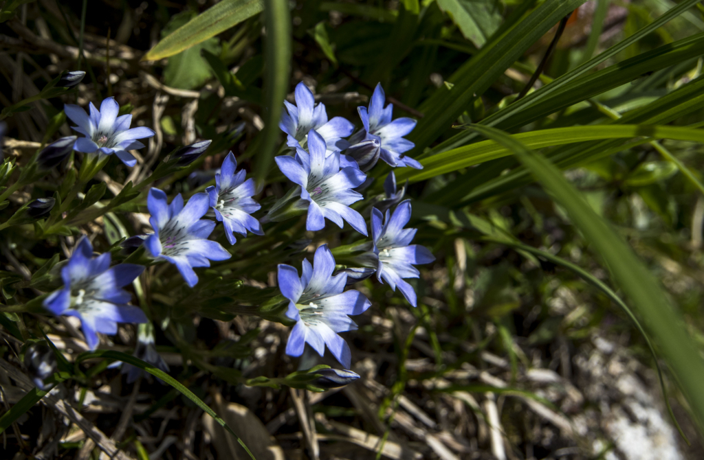 f:id:JKazy:20180624221541j:plain f:id:JKazy:20180624221541j:plain