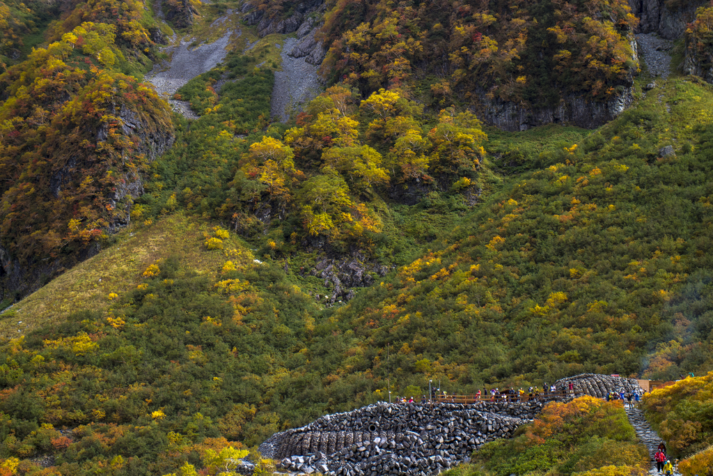 f:id:JKazy:20180929190341j:plain f:id:JKazy:20180929190341j:plain