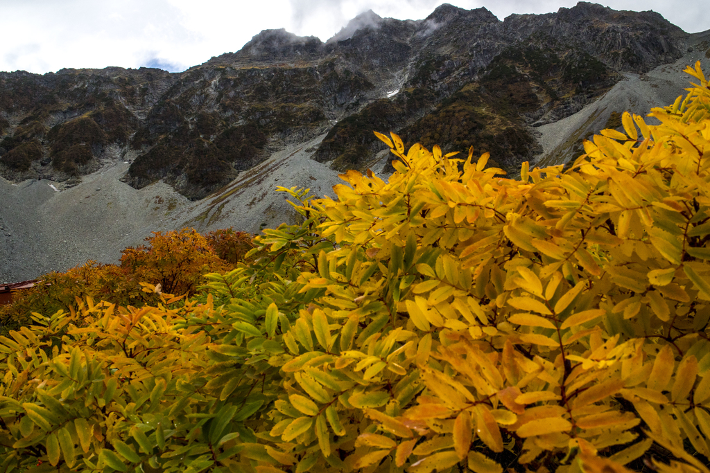 f:id:JKazy:20180929190400j:plain f:id:JKazy:20180929190400j:plain