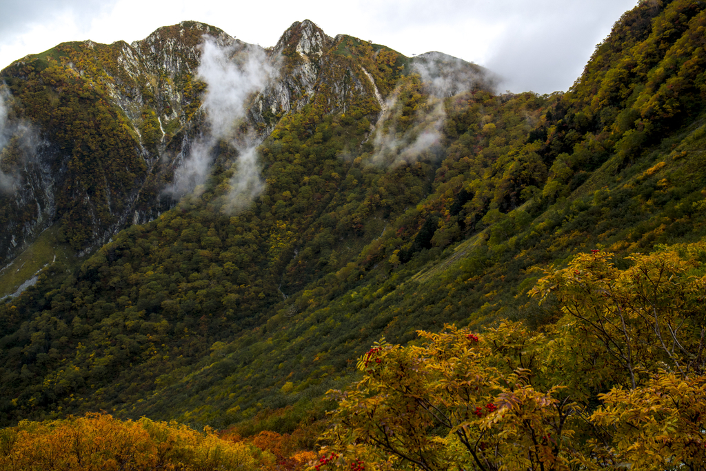 f:id:JKazy:20180929190506j:plain f:id:JKazy:20180929190506j:plain