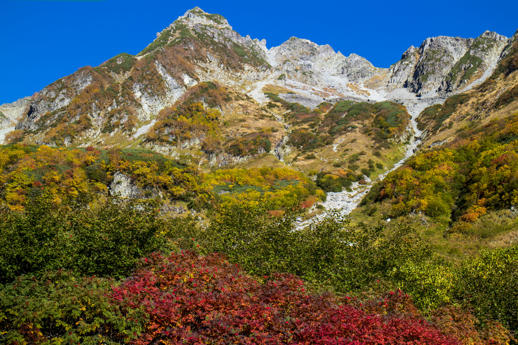 f:id:JKazy:20180929190723j:plain f:id:JKazy:20180929190723j:plain